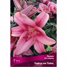Лилии ОА-гибриды Чайлд Ин Тайм луковица 16/18