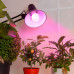 Лампа для растений 14W E27 груша, красно-синий спектр, фиолетовый цвет свечения