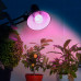 Лампа для растений 14W E27 груша, красно-синий спектр, фиолетовый цвет свечения