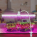 Светильник для растений на кронштейне с прищепкой Ritter 56304 4, 10 Вт, 13,5 μmol/s, 572 мм, фиолетовый свет