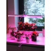Светильник для растений на кронштейне с прищепкой Ritter 56304 4, 10 Вт, 13,5 μmol/s, 572 мм, фиолетовый свет