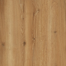 Столешница Дуб горный, 120x3.8x60 см, ЛДСП, цвет коричневый