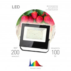 Прожектор для растений Эра FITO-100W-RA90-LED