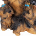 Фигура садовая «Собака Йорк с щенками» h30 см