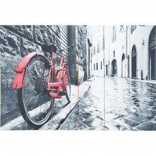 Картина на досках «Велосипед» 40х60 см