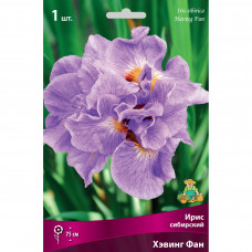 Ирис сибирский «Хэвинг Фан» Ирис сибирский «Хэвинг Фан»