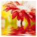 Картина на стекле 30х30 см «Red flower» 27737524