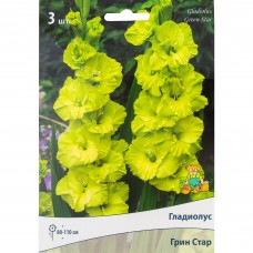 Гладиолусы крупноцветковые «Грин Стар», размер луковицы 10/12, 1 шт.