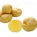 Семена Картофель семенной «Гала» 2 кг