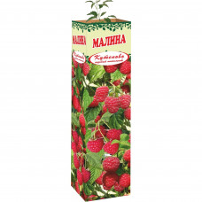Малина 9x35 см