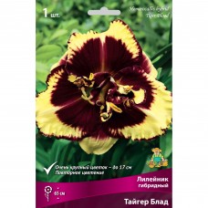 Лилейник гибридный «Тайгер Блад», 1 шт. Лилейник гибридный «Тайгер Блад», 1 шт.