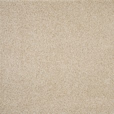 Ковровое покрытие «Шегги Фьюжн» 80209-48114, 3 м, цвет бежевый
