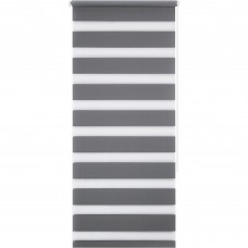 Штора рулонная день-ночь Miamoza Silver 55x160 см, цвет серый