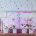 Светильник светодиодный для растений Uniel P26 572 мм 10 Вт, фиолетовый свет, цвет белый