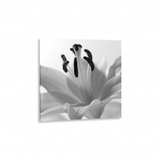 Картина на стекле "Цветок черно-белый" 30x30 см