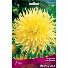 Георгина кактусовая Йеллоу Стар 1 шт.