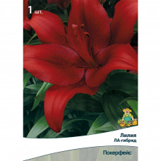 Лилия ЛА-гибрид Покерфейс 1 шт.