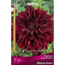 Георгина декоративная Мингус Алекс луковица I
