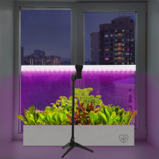 Светильник для растений на штативе с держателем Ritter 56302 0, 10 Вт, 13,5 μmol/s, 572 мм, фиолетовый свет