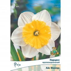 Нарцисс крупнокорончатый Айс фоллис луковица 10/12, 3 шт.