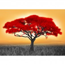 Картина на холсте Постер-лайн Красное дерево 50x70 см