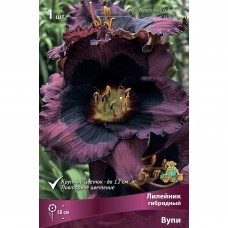 Лилейник гибридный Вупи Лилейник гибридный Вупи