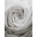 Тюль на ленте Париж 300x280 см цвет серый