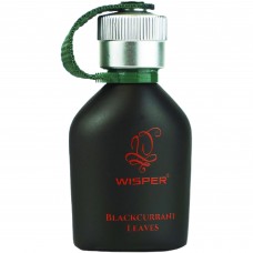 Нейтрализатор запаха для автомобиля Wisper Blackcurrant Leaves