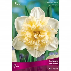 Нарцисс махровый «Айс Кинг», высота 40 см, 3 шт.