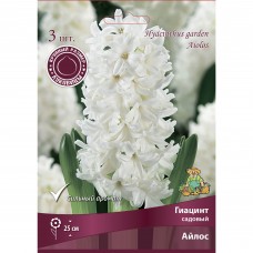 Гиацинт садовый Айлос, 3 шт