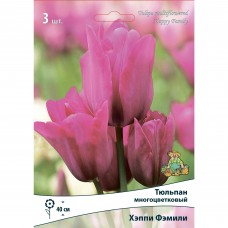 Тюльпан многоцветковый Хэппи Фэмили, 3 шт