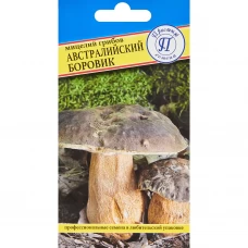 Мицелий грибов боровик Австралийский Мицелий грибов боровик Австралийский