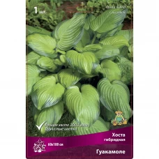 Хоста гибридная Гуакамоле Хоста гибридная Гуакамоле