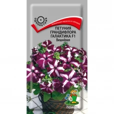 Семена цветов Поиск петуния грандифлора Галактика красная F1 10 шт. Семена цветов Поиск петуния грандифлора Галактика красная F1 10 шт.