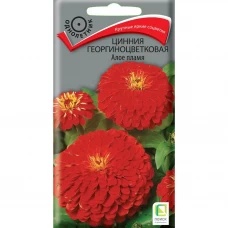Семена цветов Поиск цинния георгиноцветковая Алое Пламя Семена цветов Поиск цинния георгиноцветковая Алое Пламя
