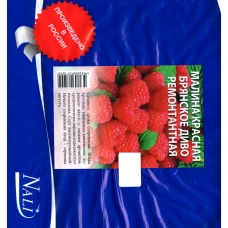 Малина Брянское диво красная пакет ø9 h40 см