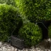 Гирлянда светодиодная сеть Эра ERASS024-15 на солнечных батареях 2x1.35 м цвет разноцветный
