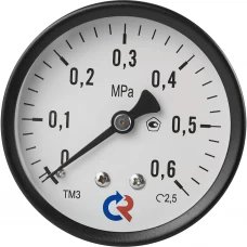 Манометр осевой Росма ТМ-310Т.00 6 бар 1/4" Манометр осевой Росма ТМ-310Т.00 6 бар 1/4"