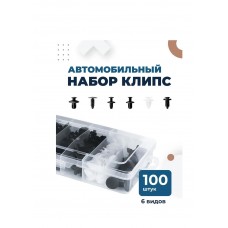 Клипсы автомобильные, 100 шт